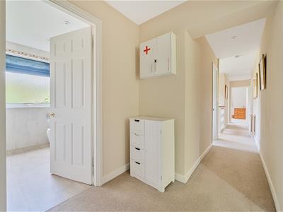 Picture 17
